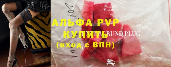 ГАЛЛЮЦИНОГЕННЫЕ ГРИБЫ Белокуриха
