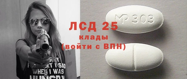 ГАЛЛЮЦИНОГЕННЫЕ ГРИБЫ Белокуриха