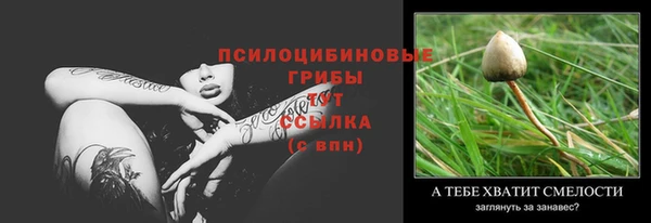 ГАЛЛЮЦИНОГЕННЫЕ ГРИБЫ Белокуриха
