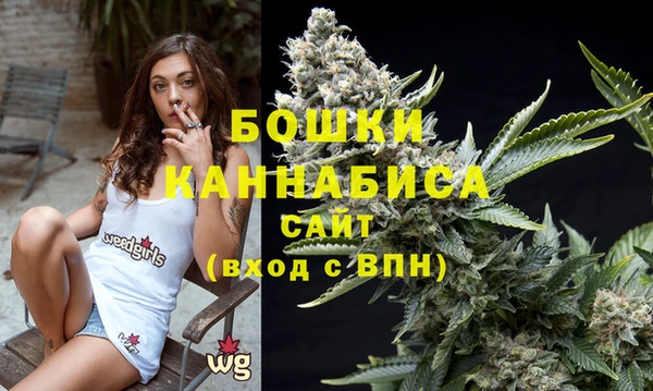 спайс Беломорск